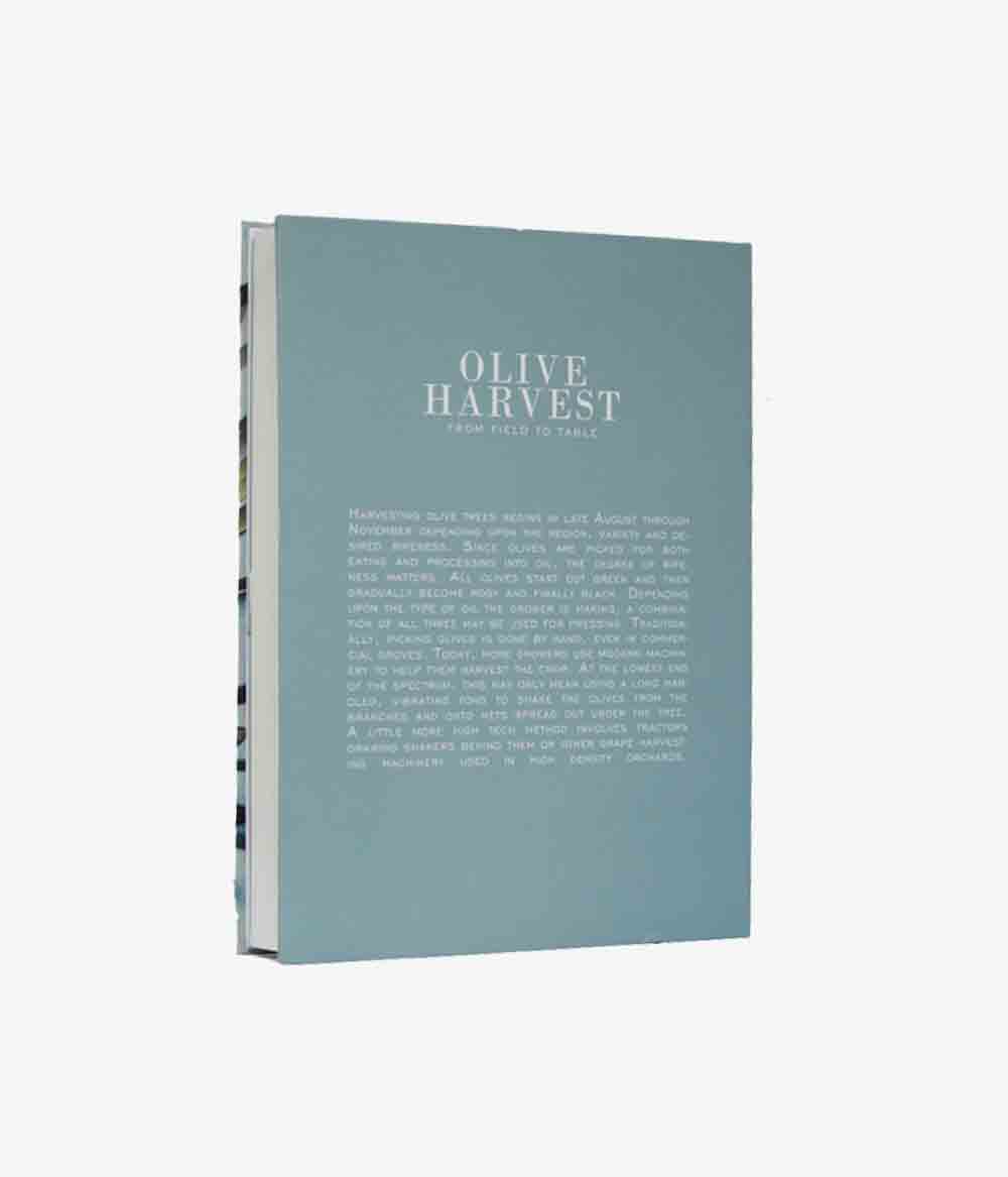 Book Box Olive Harvest 02